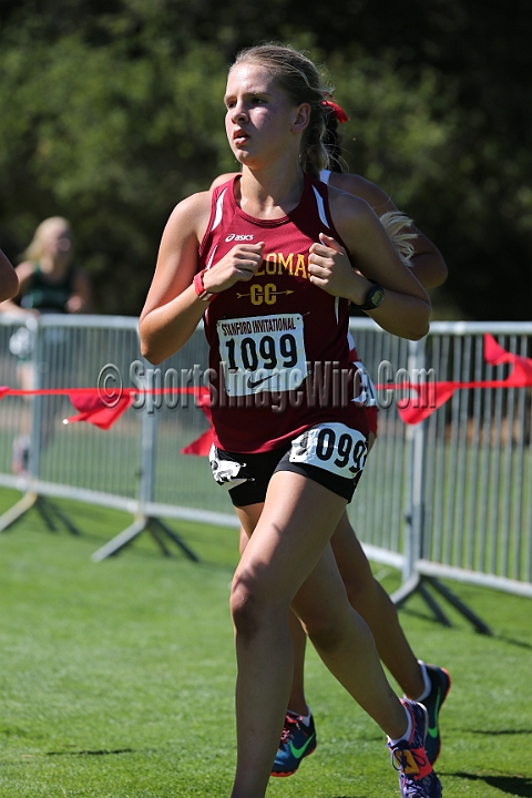 2015SIxcHSD3-131.JPG - 2015 Stanford Cross Country Invitational, September 26, Stanford Golf Course, Stanford, California.